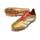 Adidas Predator Elite FG Nouvelles Or Rouge Blanc